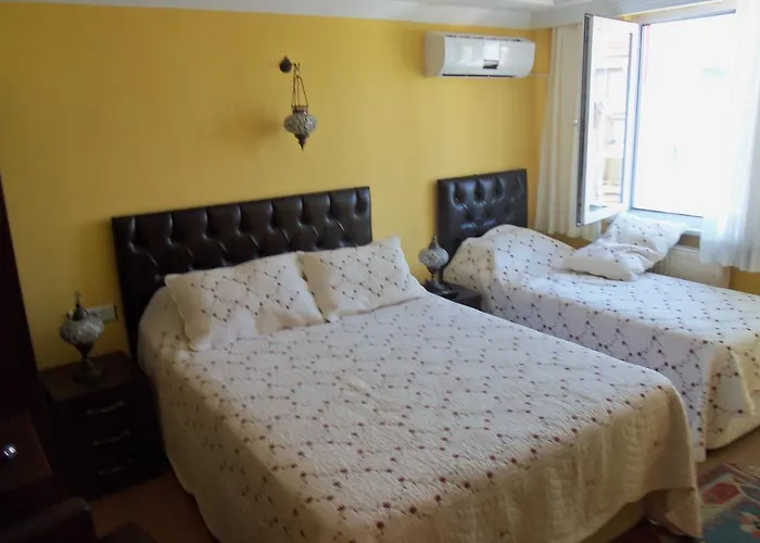 Hotel Cosmopolitan Park Provincia di Istanbul