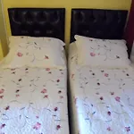 Cosmopolitan Park Otel 3*