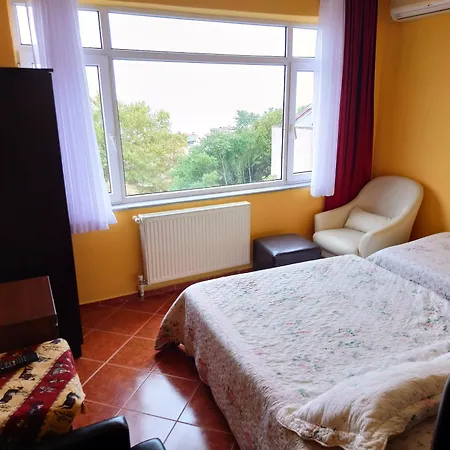 Cosmopolitan Park Hotel Istanboel